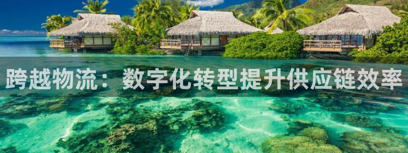 28圈里的财神：跨越物流：数字化转型