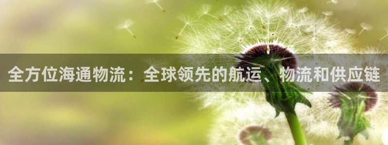 28圈游戏官网平台：全方位海通物流：