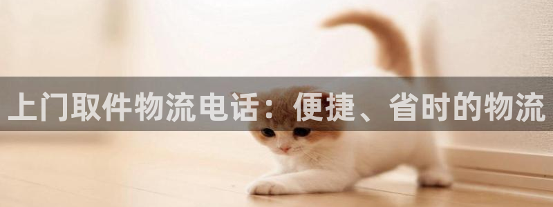 28圈客服一直不回消息怎么办：上门取