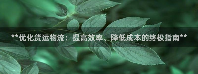 28圈注册网页版：**优化货运物流：