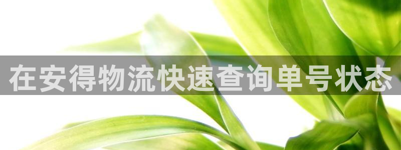 28圈ccm游戏：在安得物流快速查询