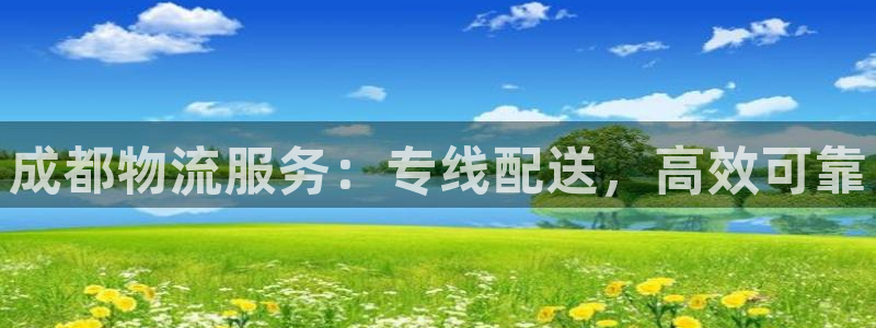 28圈注册号：成都物流服务：专线配送