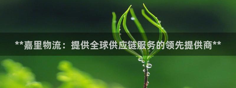 28圈链接多少：**嘉里物流：提供全