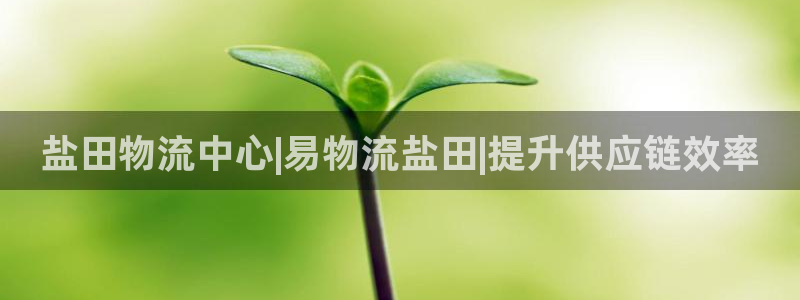 28圈注册网站加拿大：盐田物流中心|