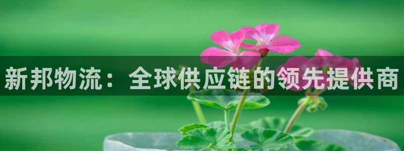 28圈百度百科