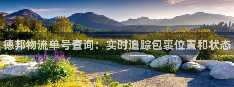 28圈软件