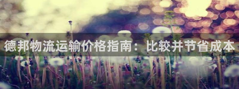 28圈加拿大真假怎么看：德邦物流运输