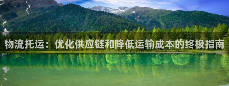 28圈人头费：物流托运：优化供应链和