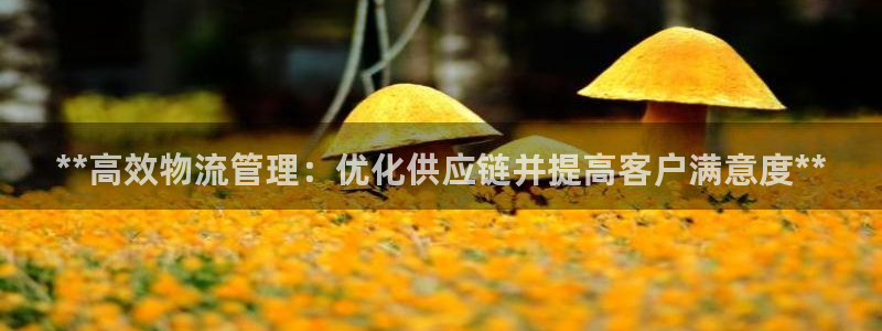 28圈app能退款吗：**高效物流管