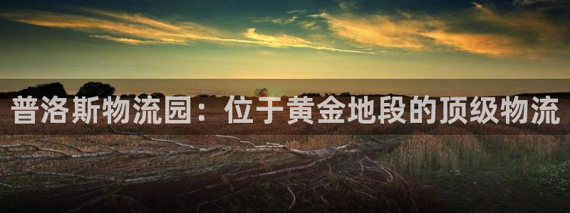28圈取保：普洛斯物流园：位于黄金地