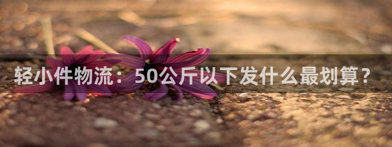 28圈技巧
