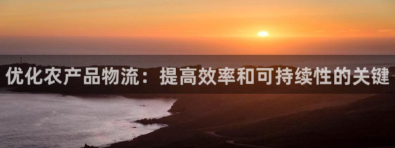 28圈注册官网：优化农产品物流：提高