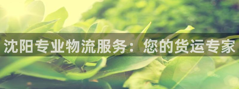 28圈网站怎么注册：沈阳专业物流服务