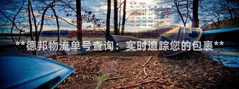 28圈注册与教程：**德邦物流单号查