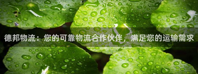 南宫28圈怎么注册：德邦物流：您的可