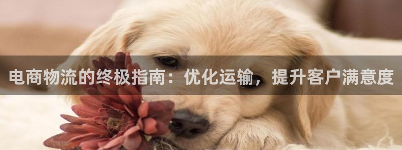 28圈是干嘛的：电商物流的终极指南：