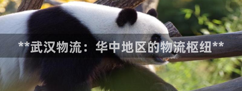 28圈游戏官网入口