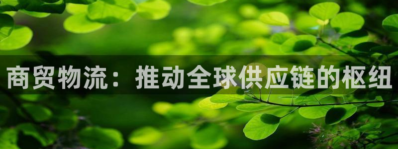 28圈加拿大模拟器