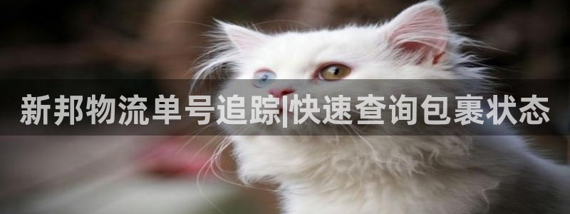 28圈是啥