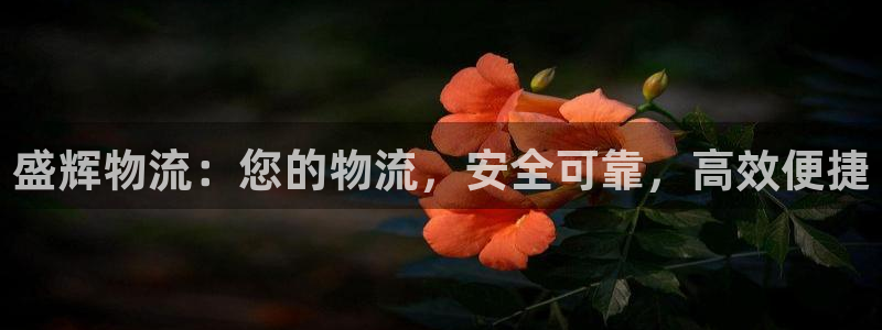 28圈p扣除
