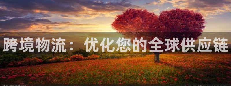 28圈充值不到账