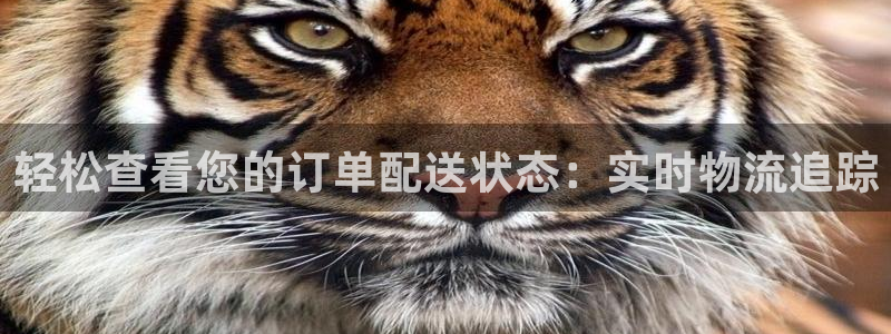 28圈的自行车：轻松查看您的订单配送
