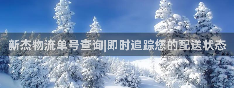 28圈圈助手：新杰物流单号查询|即时