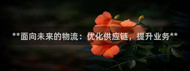 28圈pg麻将胡了2老是空转