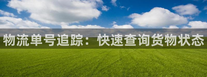 28圈黑款