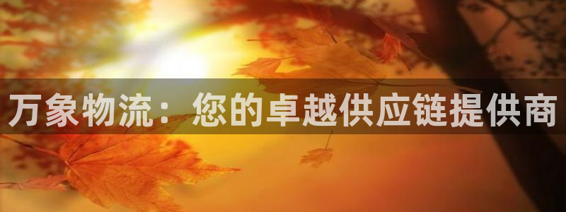 28圈技巧：万象物流：您的卓越供应链