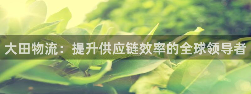 28圈注册问一问：大田物流：提升供应