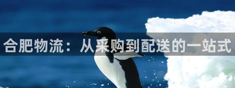 28圈违法吗