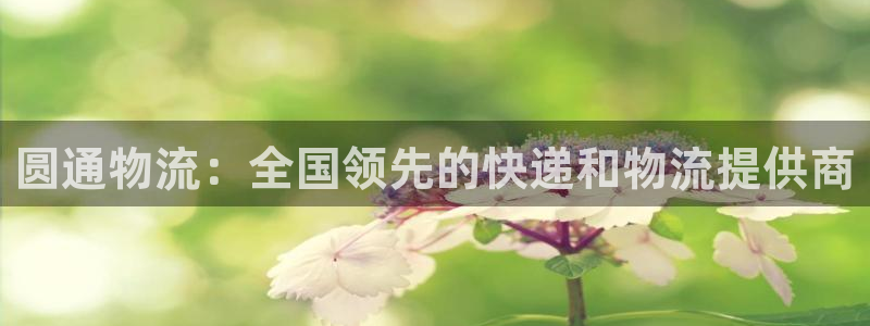 28圈链接