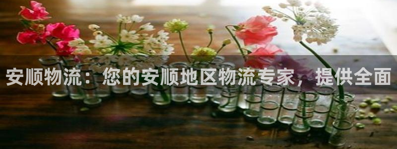 28圈充值不到账什么原因