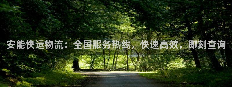 28圈平台注册：安能快运物流：全国服