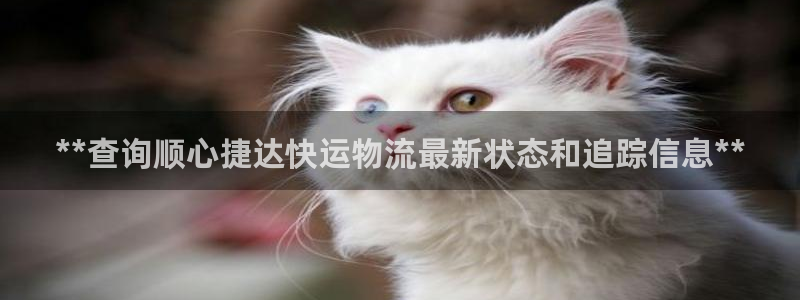 28圈娱乐官网网页入口