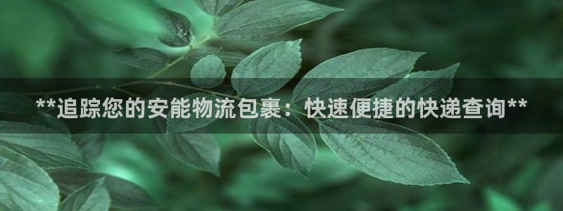28圈软件有什么用