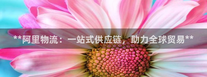 28圈是正规软件吗：**阿里物流：一