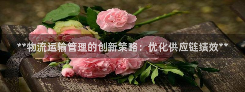 28圈.ccm2024
