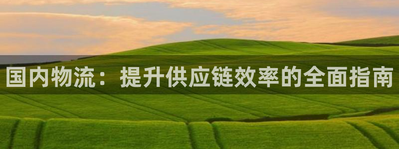 28圈注册网址：国内物流：提升供应链
