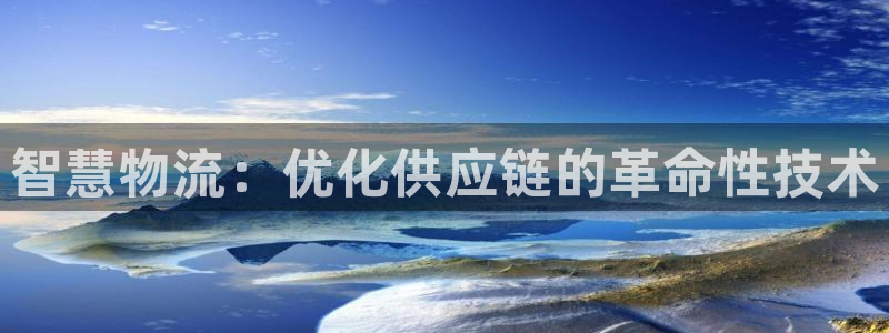 28圈.ccm2024：智慧物流：优