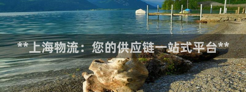 28圈注册网站链接：**上海物流：您