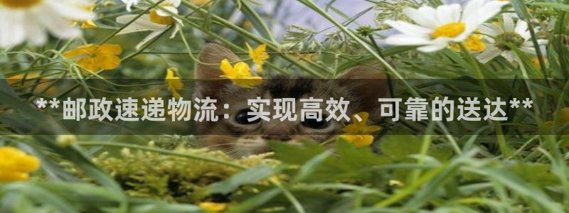28圈是干嘛的