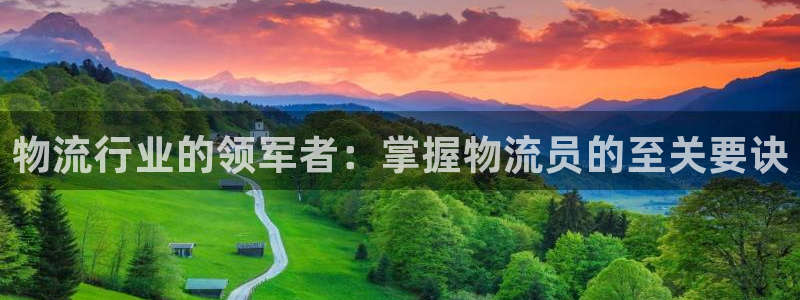 28圈注册链接教程：物流行业的领军者