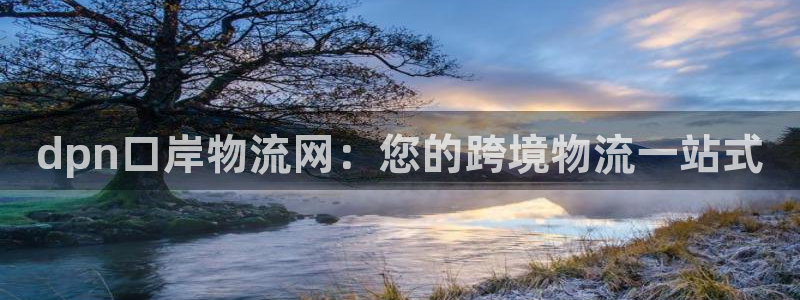 28圈登录网：dpn口岸物流网：您的