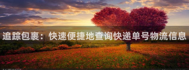 28圈PG电子游戏：追踪包裹：快速便