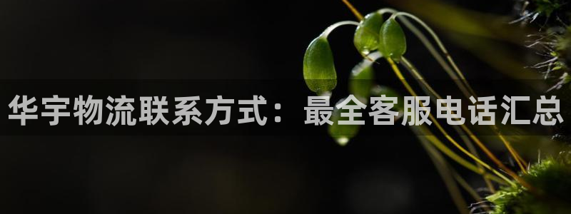 28圈APP是干什么的