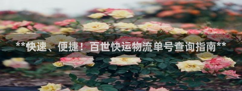 28圈可以退款吗：**快速、便捷！百