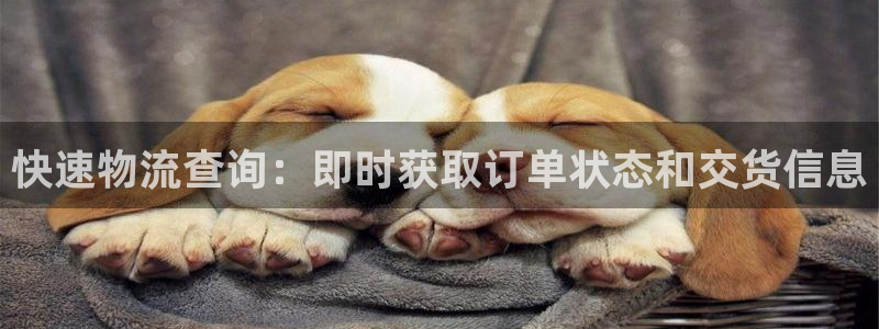 28圈pg麻将胡了：快速物流查询：即