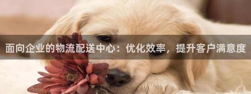 28圈自行车搞笑图片：面向企业的物流